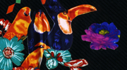 �����炭��