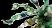 �C�\�M���`���N